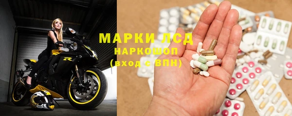 эйфоретик Баксан