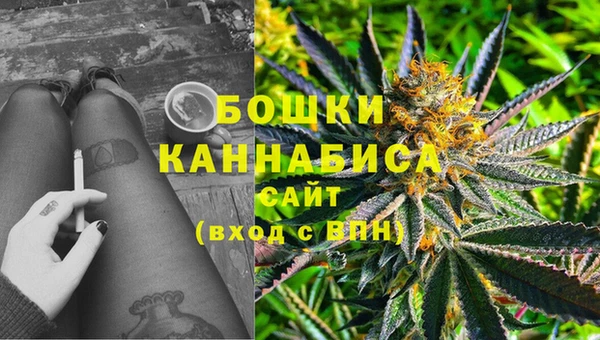 эйфоретик Баксан