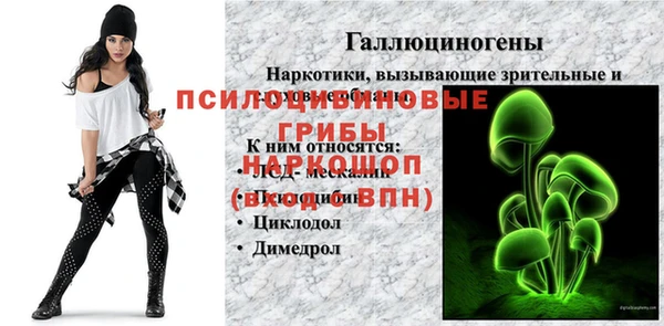 прущая мука Арсеньев
