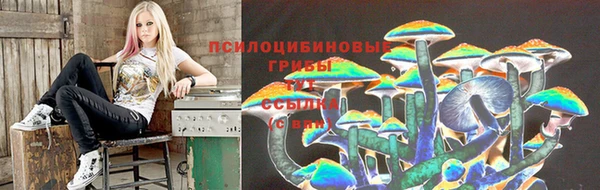 прущая мука Арсеньев